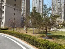 亿锋广场御苑 3室1厅 南