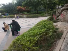 回兴 汀香树三房78万
