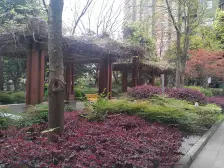 地铁9号线出口旁 天星康韵 次新房 正规大一房价格可谈