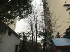 宝山万达+1号线共康路+诚意出售+南北两房