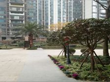 戛纳湾金棕榈 1室1厅 东北