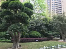 精装两房 中海物业 新小区 视野好!