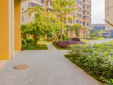 轨道口龙光精致三房业主寻有缘人