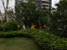 中天悦府,精装平层两房,带租约出售