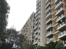 金科物业,地铁洋房社区,居家安静,出行方便