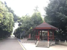 北部新区 金科中华坊紫园五房215万