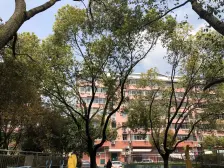 面积大,近龙之梦,看房方便,电梯房