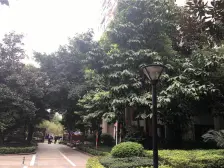 金科品质,洋房大花园,近轻轨,有独立车位