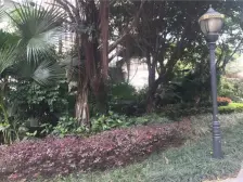 三层全通电梯丶带大花园丶单层200胜过别墅