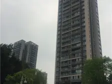 石马河 金科十年城东区二房100万