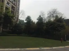 石马河 金科十年城北区二房