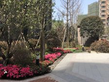 南城都汇汇彩园 3室2厅 北