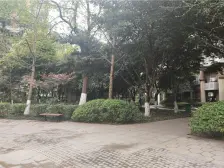 金阳易城国际 3室1厅 东南 西南