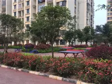 鱼洞 云水苑一房25万