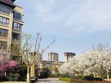 长基雁月湾5室2厅南北