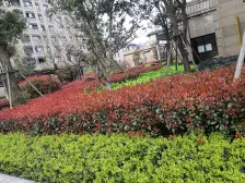 保利品质新上精装三房,高区楼层采光充足,位置安静