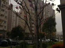 鹤沙航城瑞馨苑2室南朝向178.00万元/套出售