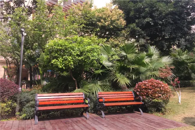 泽科港城国际锦云香缇