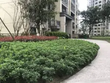 此方对中庭东南朝向,门口轻轨9号线,户型方正保养好