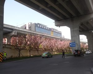 远雄风华园 1室1厅 南