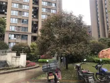 长帆稀奇清水三房+朝东+业主诚心出售+随时可看