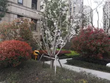 周浦医学园区 保利开发 稀*缺二房 带露台 诚意卖