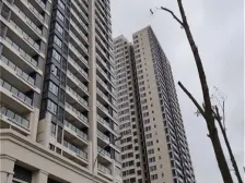 悦来 金科岭上一期别墅A区五房358万