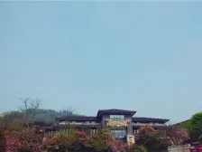 南山 金隅大成南山郡三期观澜樾四房170万