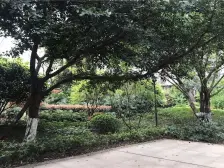 5号线+直快+公园+精装三房住家装修