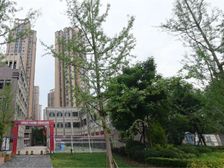 电建地产美立方 2室1厅 东