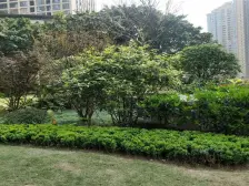 弹子石轻轨站旁看江端户三房,朝向安静