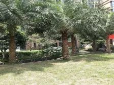 弹子石地铁站正规两房 户型方正视野好 19年建成次新