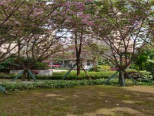 照母山光环约克郡大2房 保养好直接可入住 夜景也漂亮