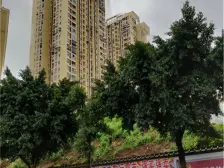 小区房屋总价低,停车不收费物业费0.5元/平生活成本低