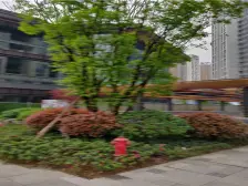 龙头寺 仁安里三房