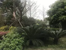 大兴场C位电梯江景3房,正看江无遮挡,户型方正