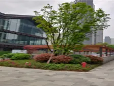 龙头寺 仁安里二房72万