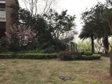 华岩新城 美每家华龙城A区三房77万