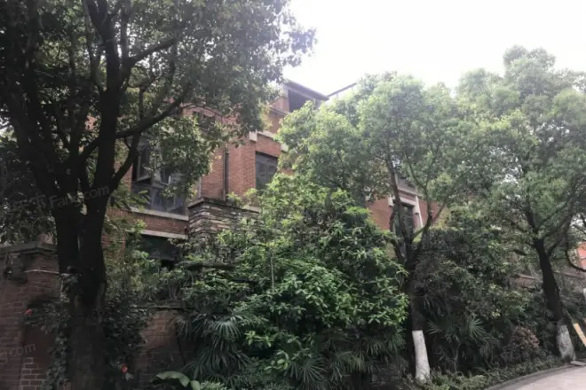 同景国际城雍华府实景图