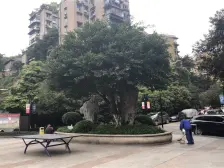 大坪 公务员小区(大黄路28号)三房145万