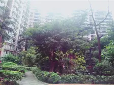 南坪 星宇花园二房80万