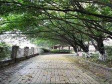 龙溪镇 景馨苑三房136万