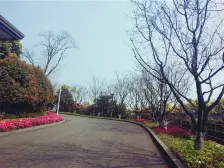 南山郡联排别墅 3+1 看房方便 带前后花园 适得面积大