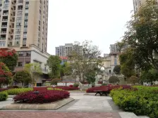 海志观月山水清水洋房出售 户型很好 采光好