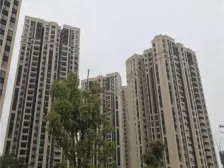 小区环境同比其他小区绿化高,近轻轨,离主城近。
