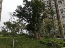 房子业主精装修带家具家电,离轻轨二号线近交通方便