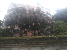 加州新牌坊 龙湖南苑三房