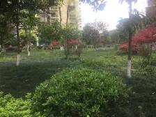 两路老城 格林上城一房37万