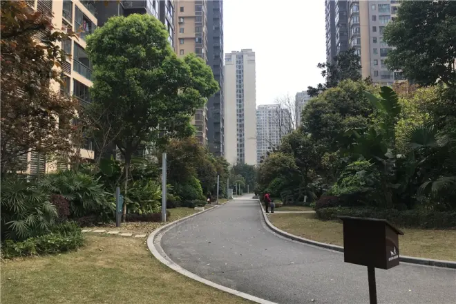 泽科港城国际三期