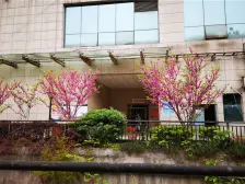 大渡口公园,大渡口步行街,华润万象汇